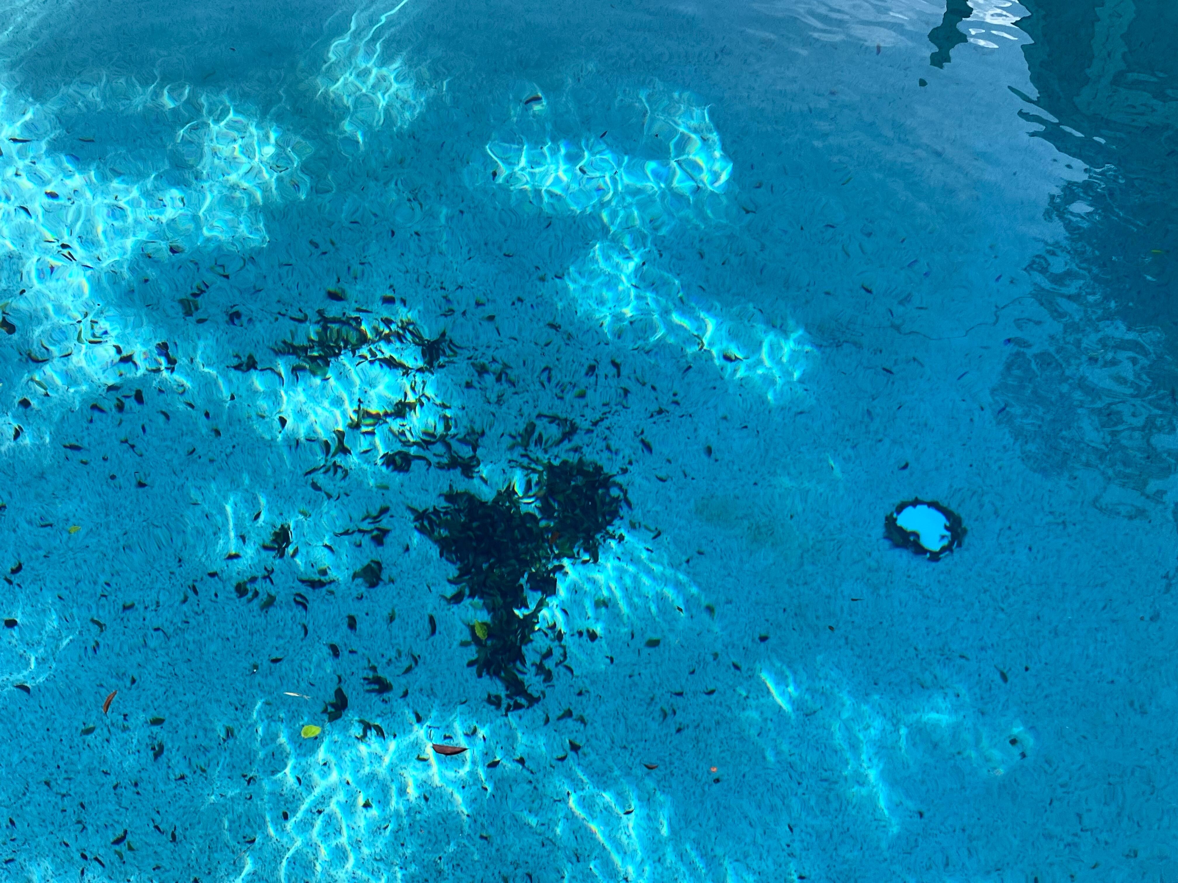 No long skimmer to clean it