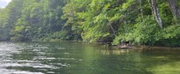 From the dock