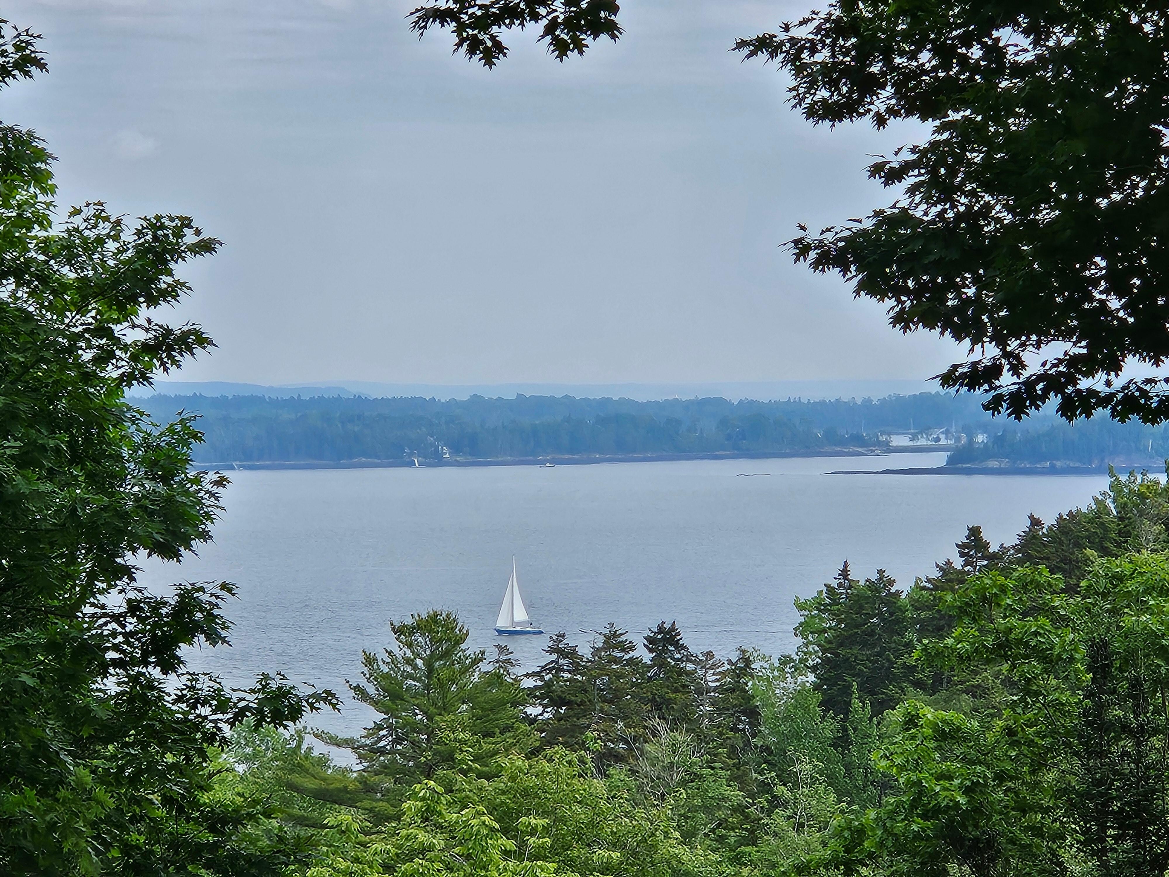 Beautiful views from the property all day!