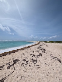 East Coast Beach