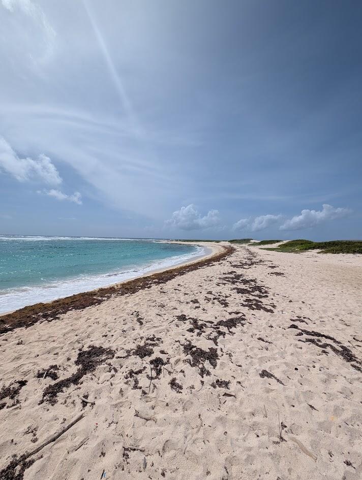 East Coast Beach