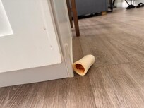 Said dog bone we found at the house. Otherwise everything seemed clean.