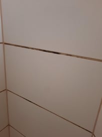 Verschimmelte Dusche