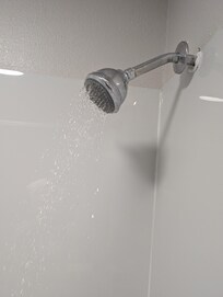 The shower was a trickle. It would take me a week to wash my hair with this little bit of water