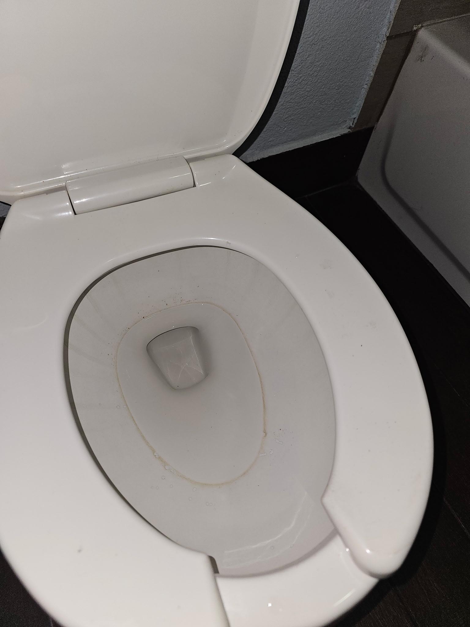 Pee on seat