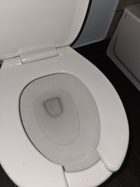 Pee on seat
