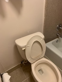 Wall paint behind the toilet was rough and piling off.