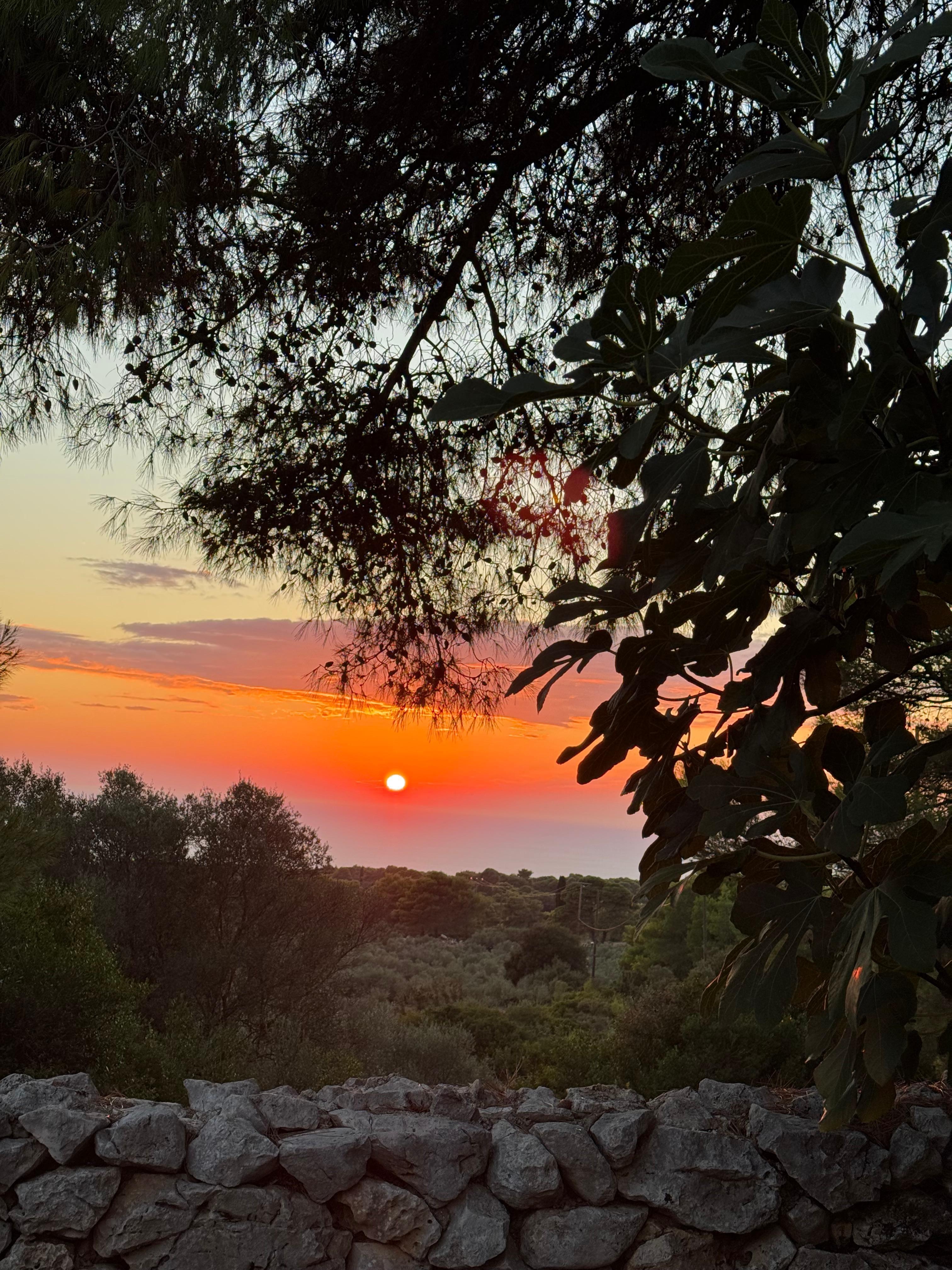 Sonnenuntergang auf der Terrasse 