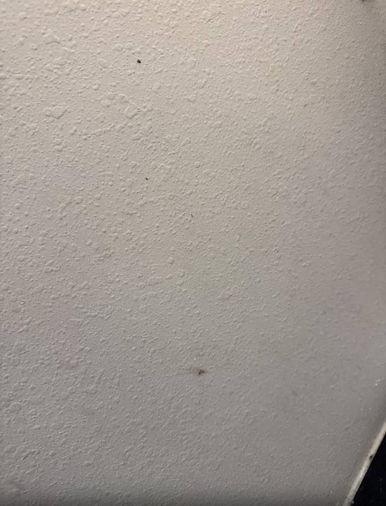 Gross walls