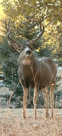 Seen from the basement windows