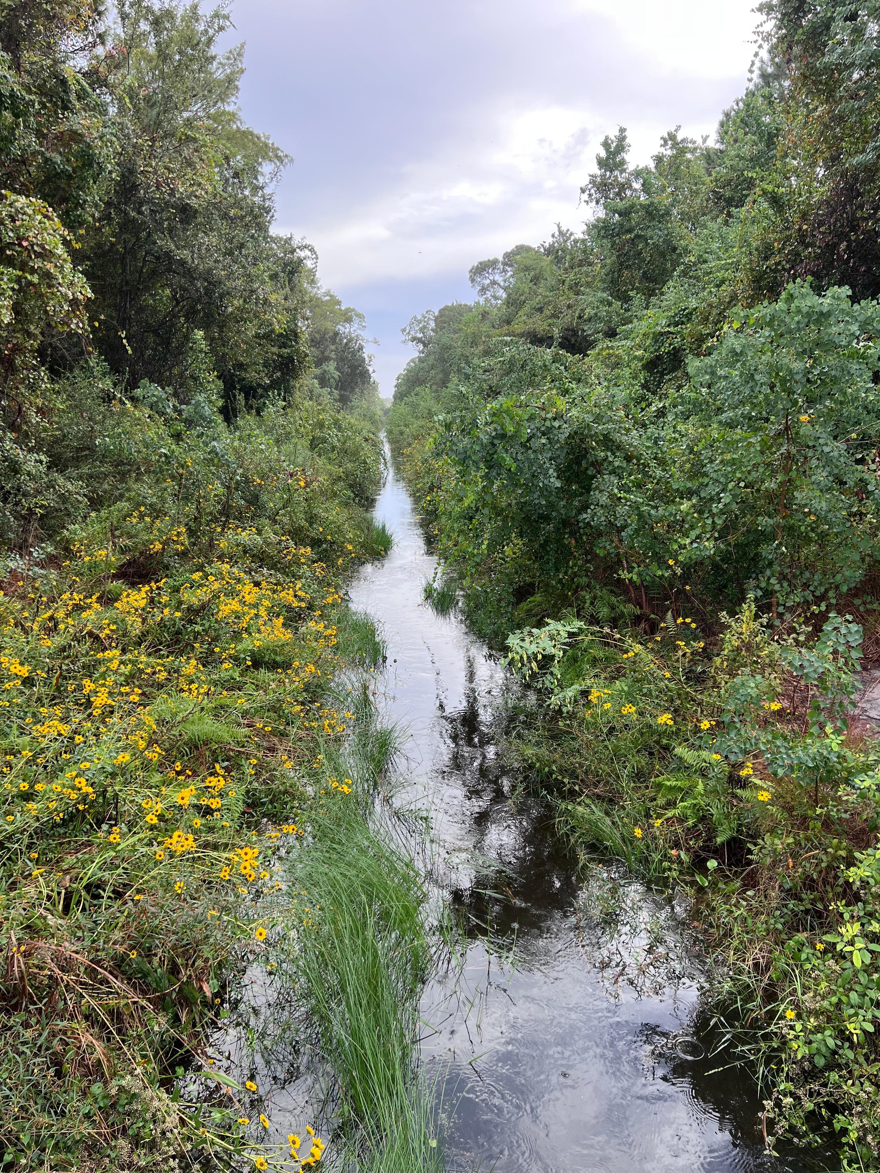 View from one walking trail!