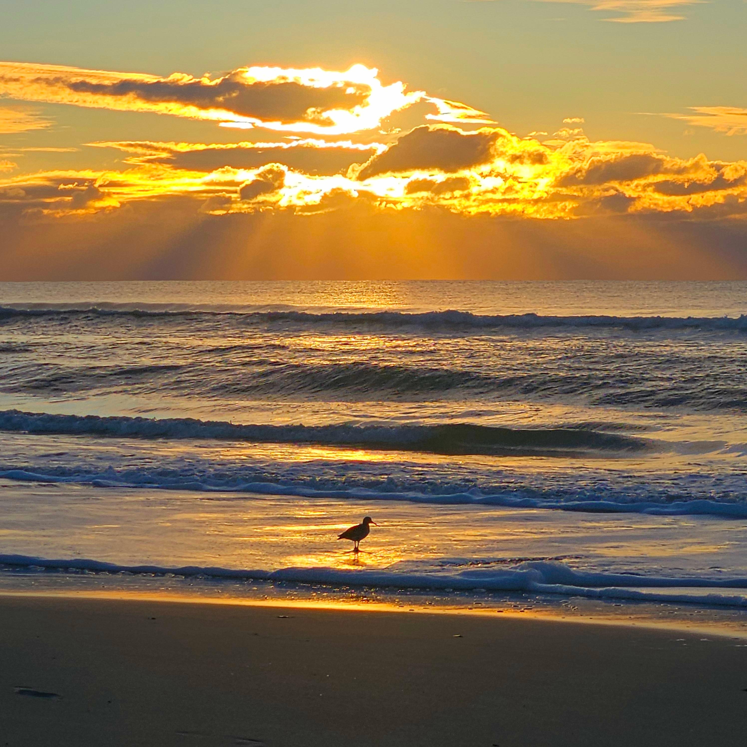 Sunrise after the storm.