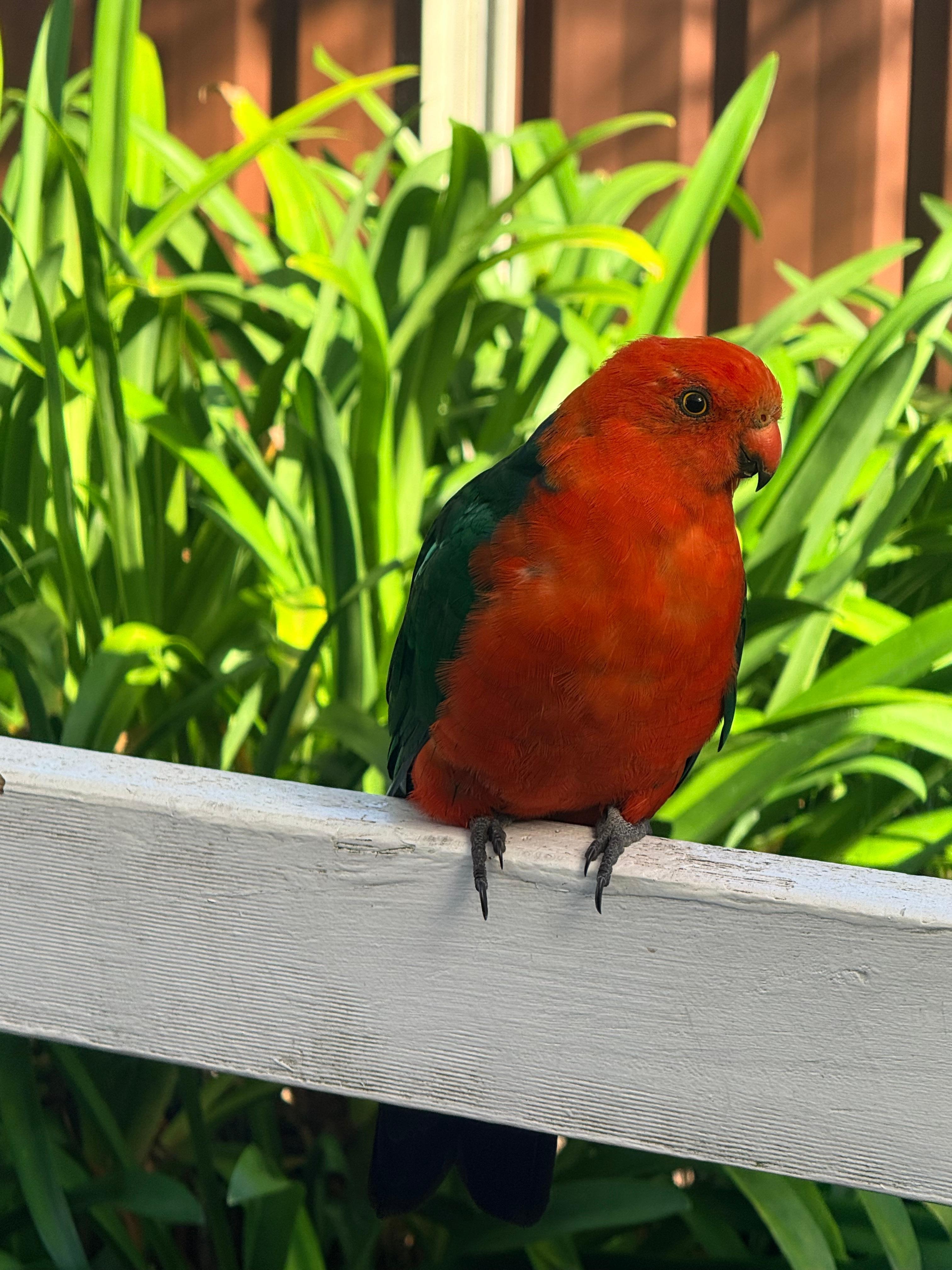 The locals are friendly 