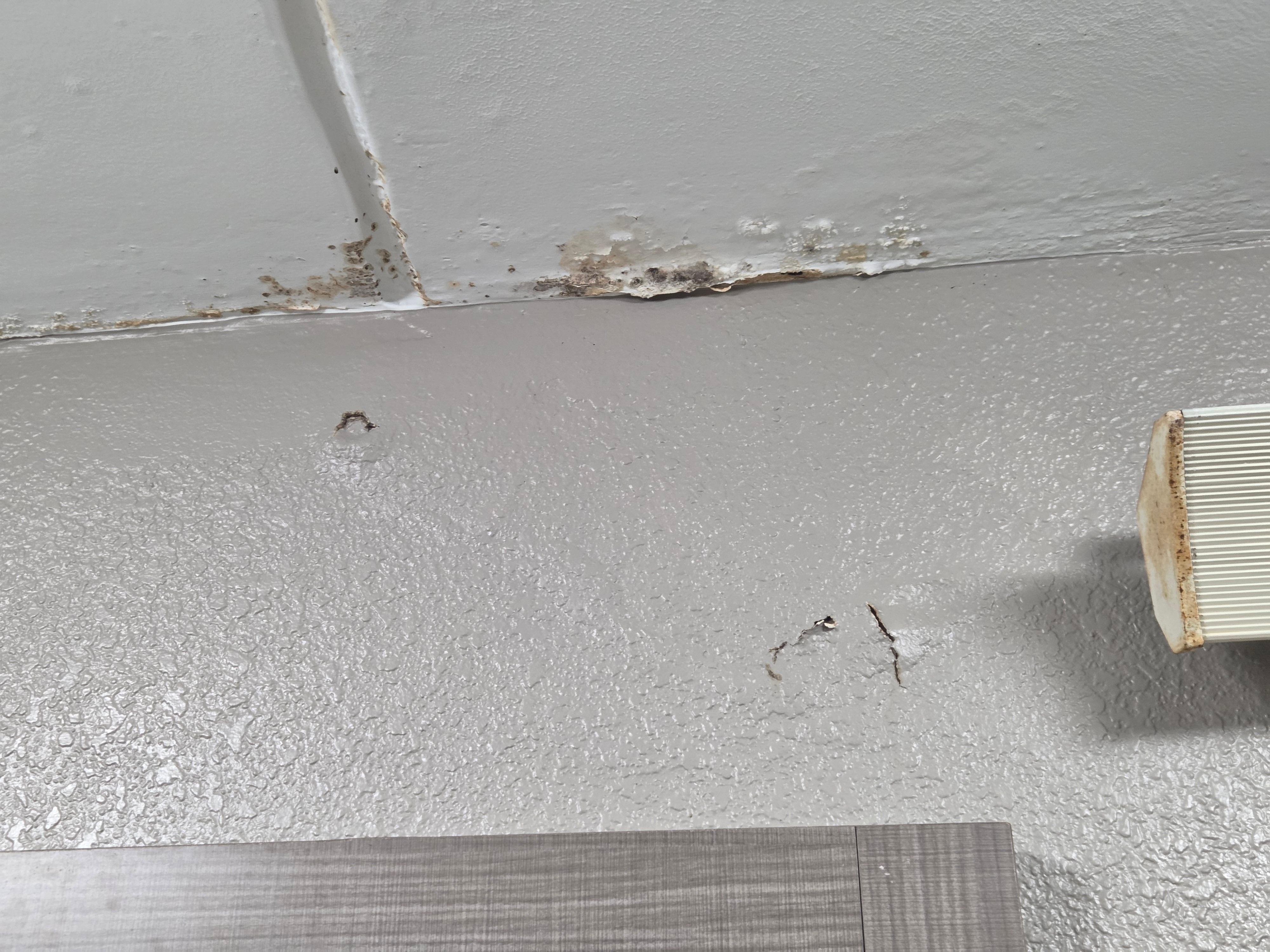 Ceiling  mold 