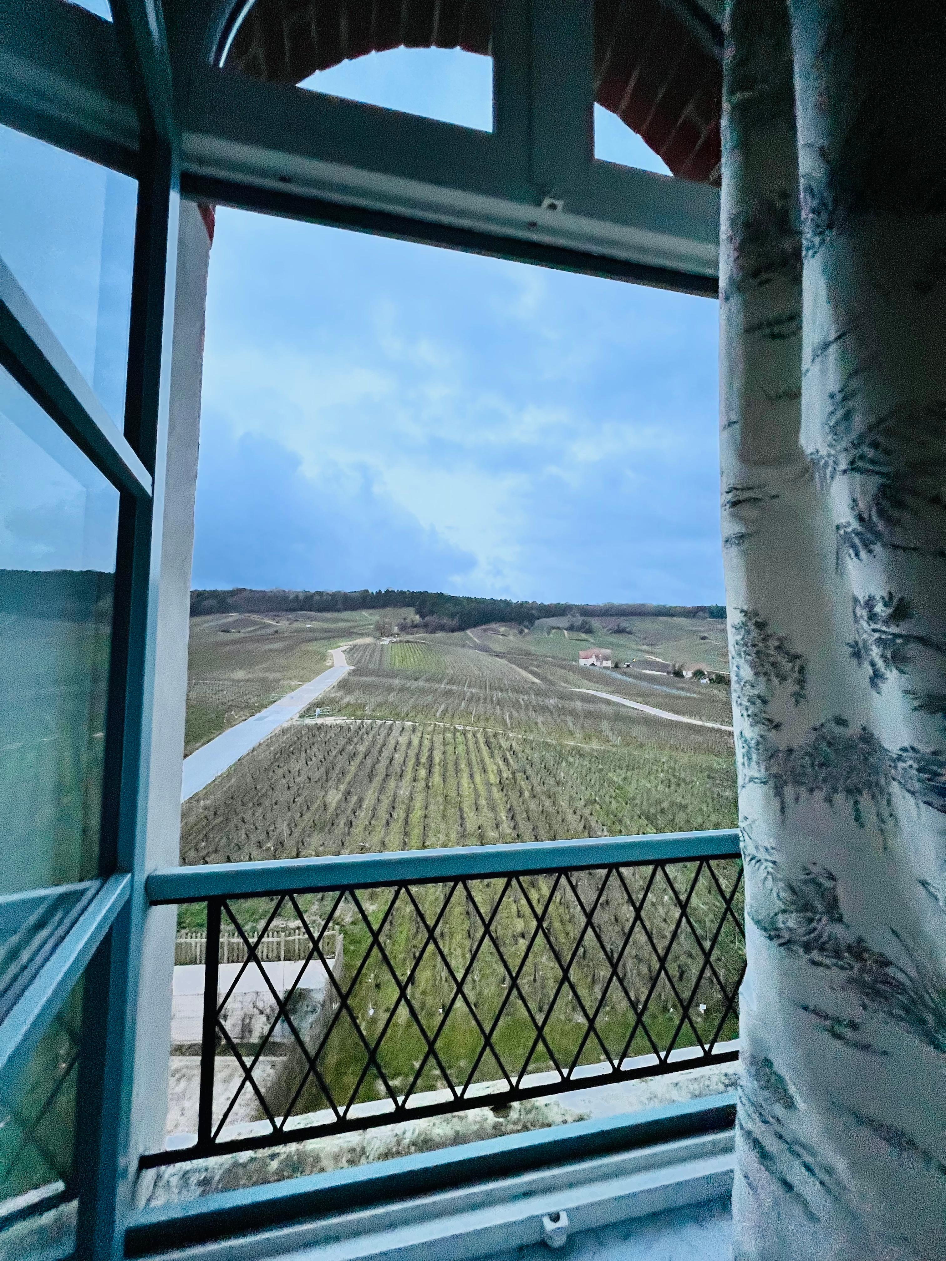 The view of the vineyards from our room. 