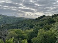 View from back door