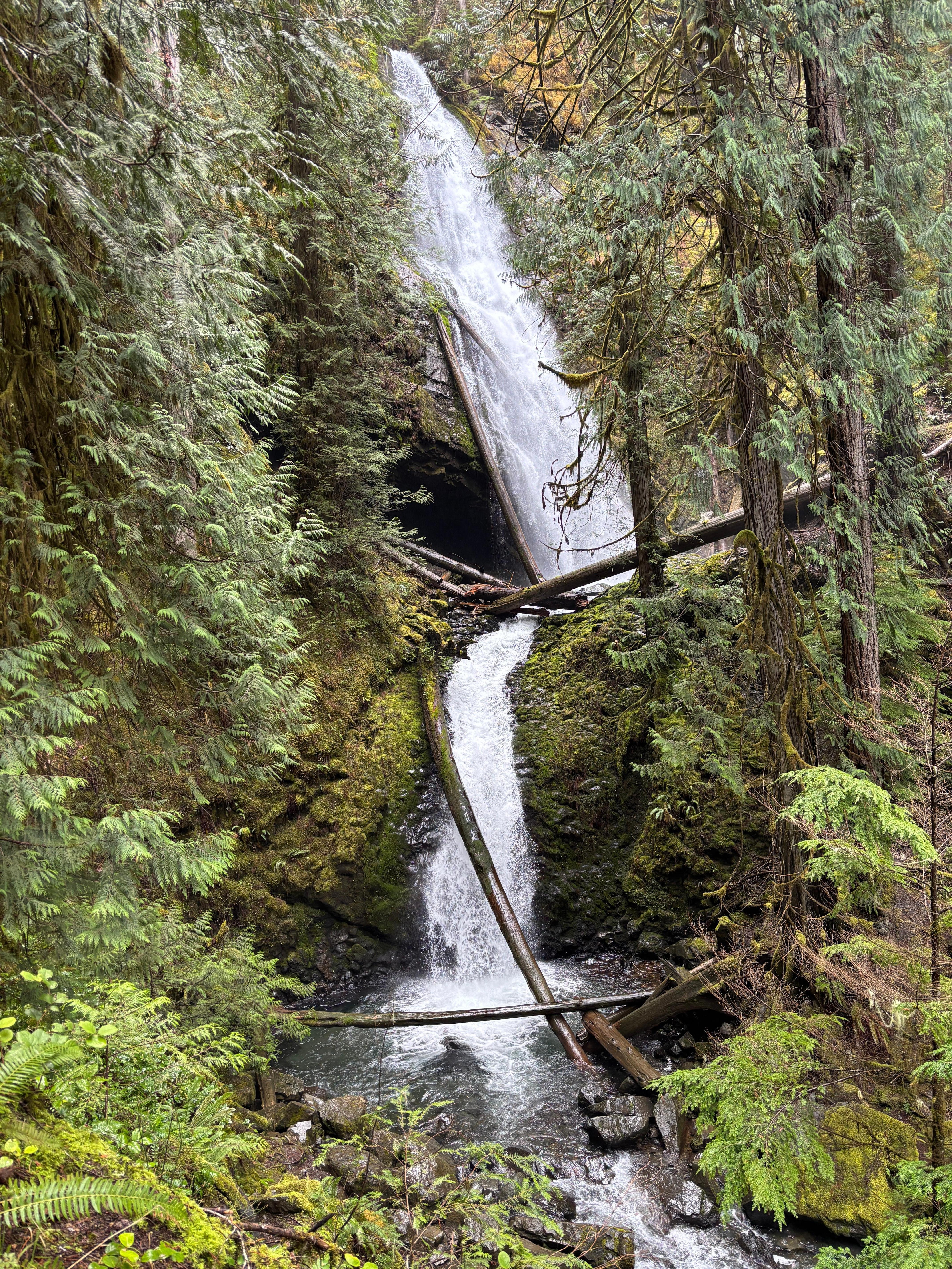 Murhut Falls about 10 miles up the Dukabush road