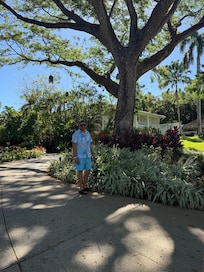 Jardín