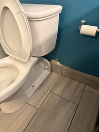 Needs repaired and painted