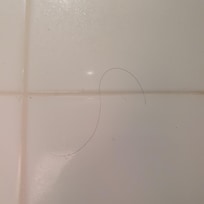 Haar klebt an der Wand