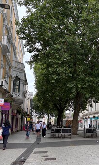 Shopping in the main street