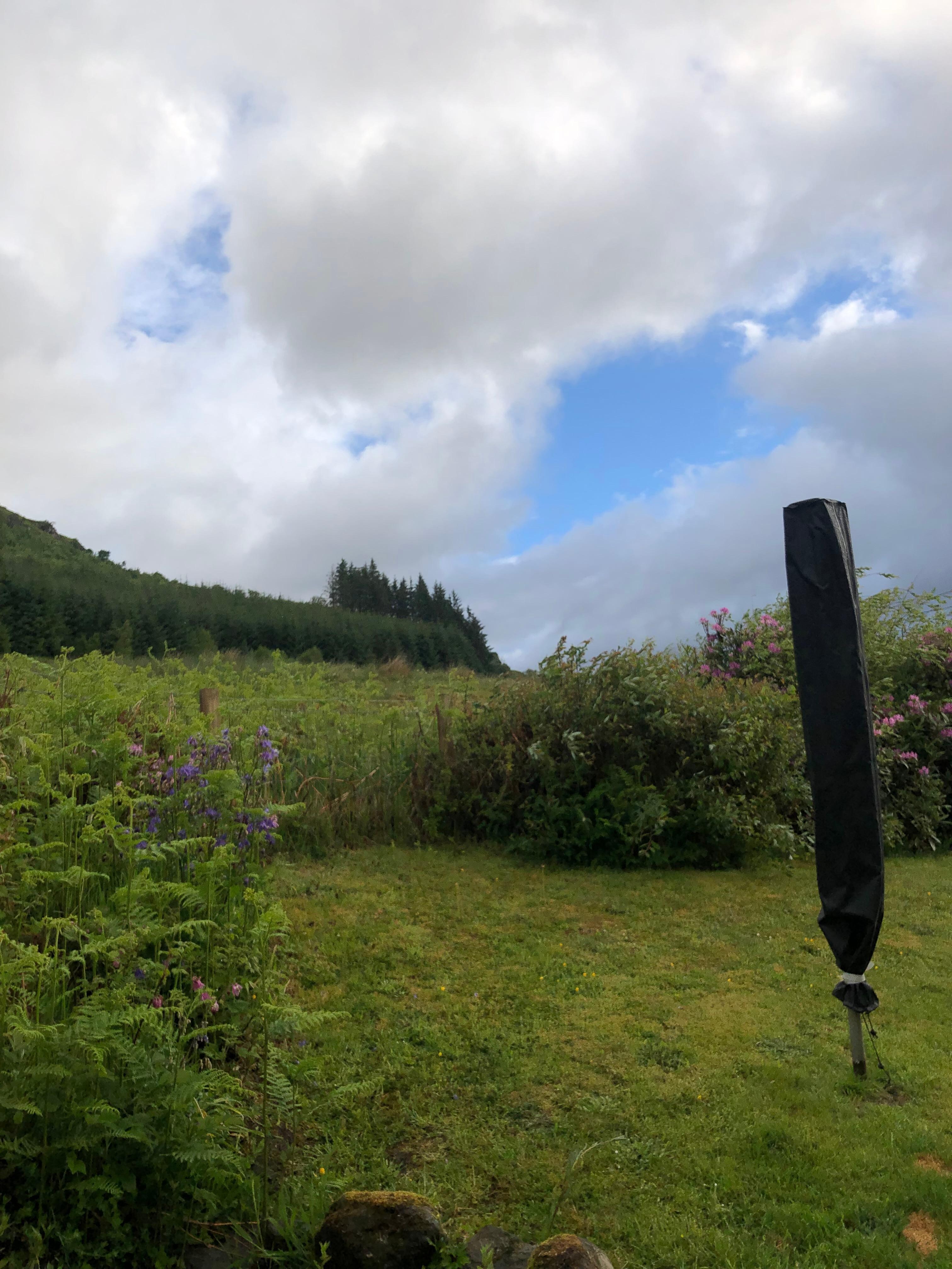 View from the back patio 