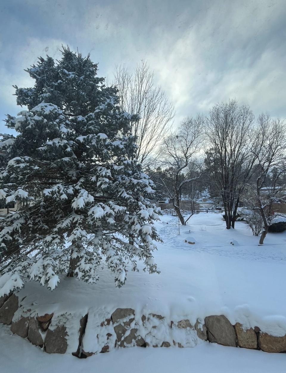 View from my window