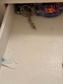 Bathroom drawer