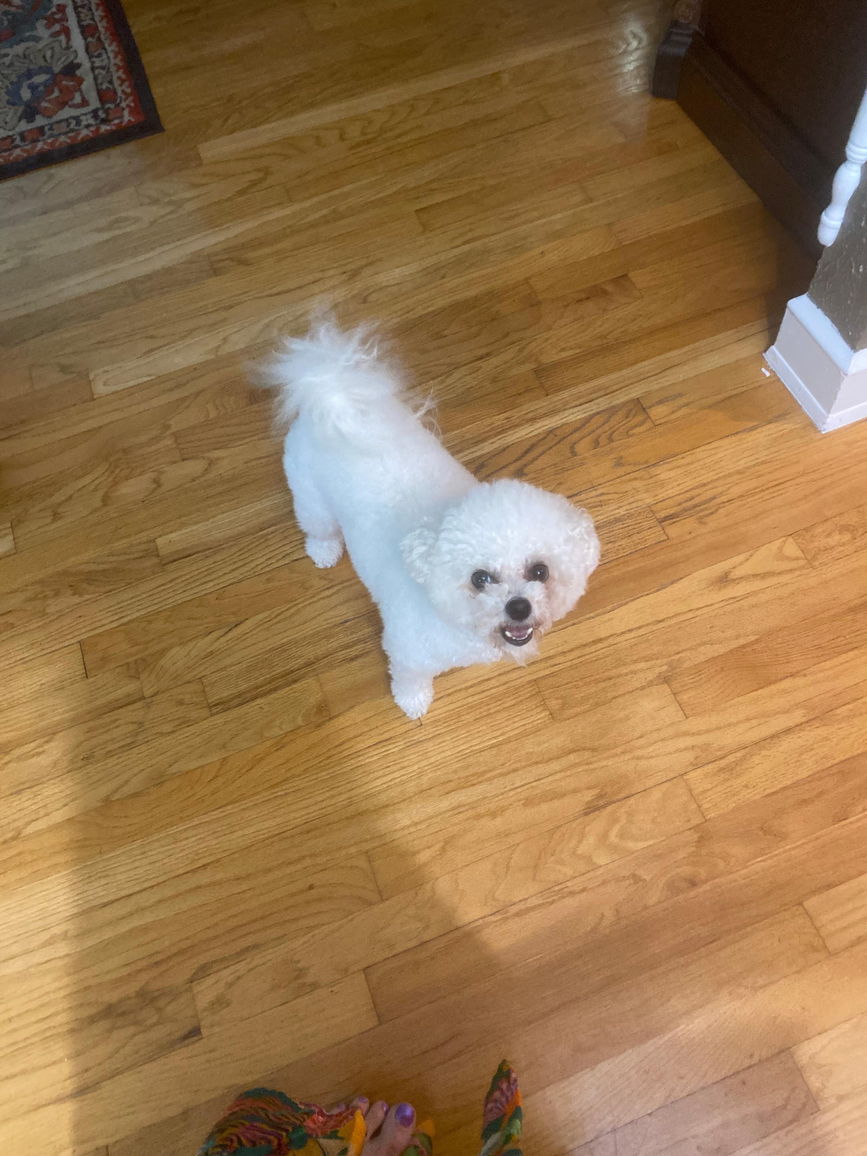 Beignet was grateful to be allowed!!