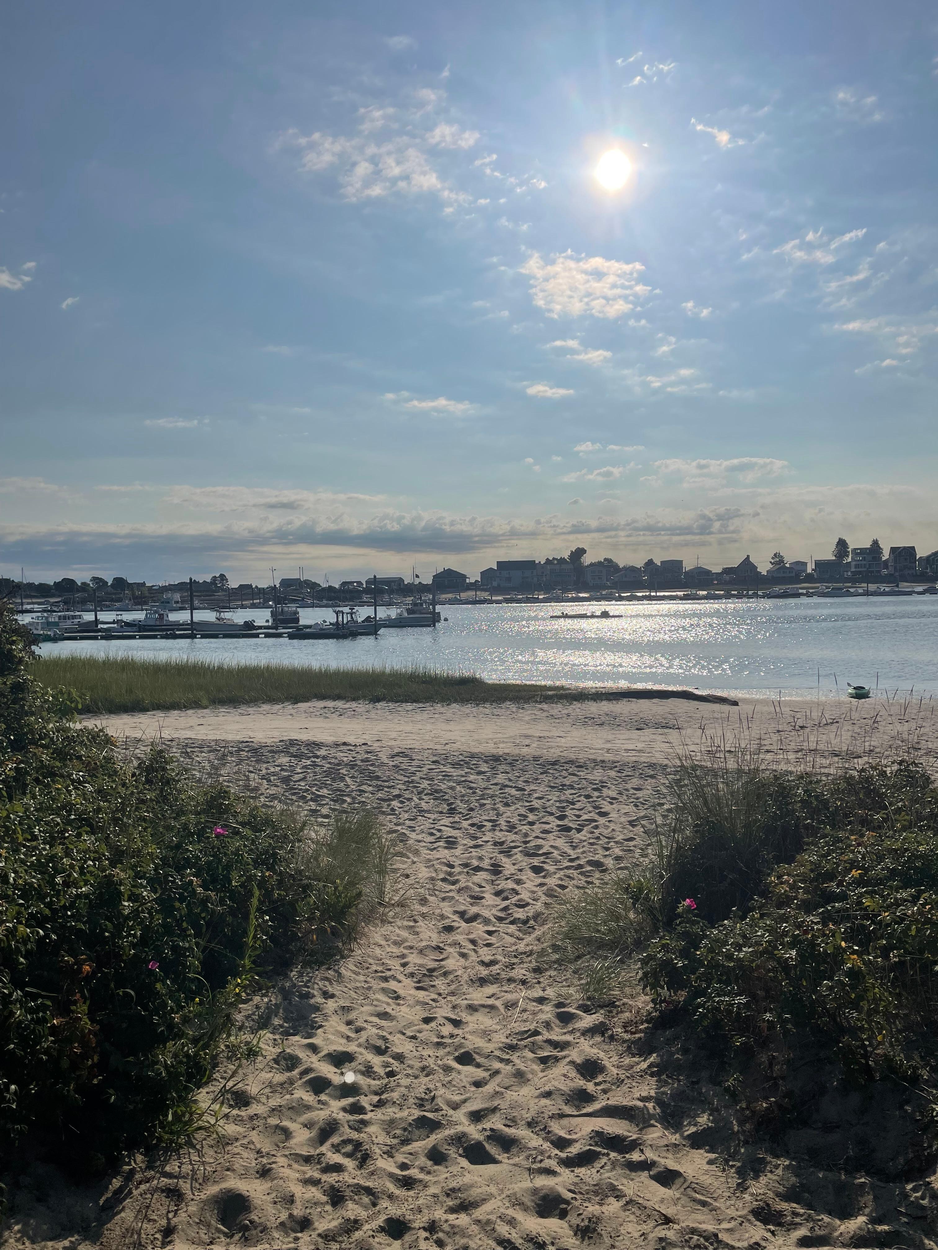 View of Webhannet river
