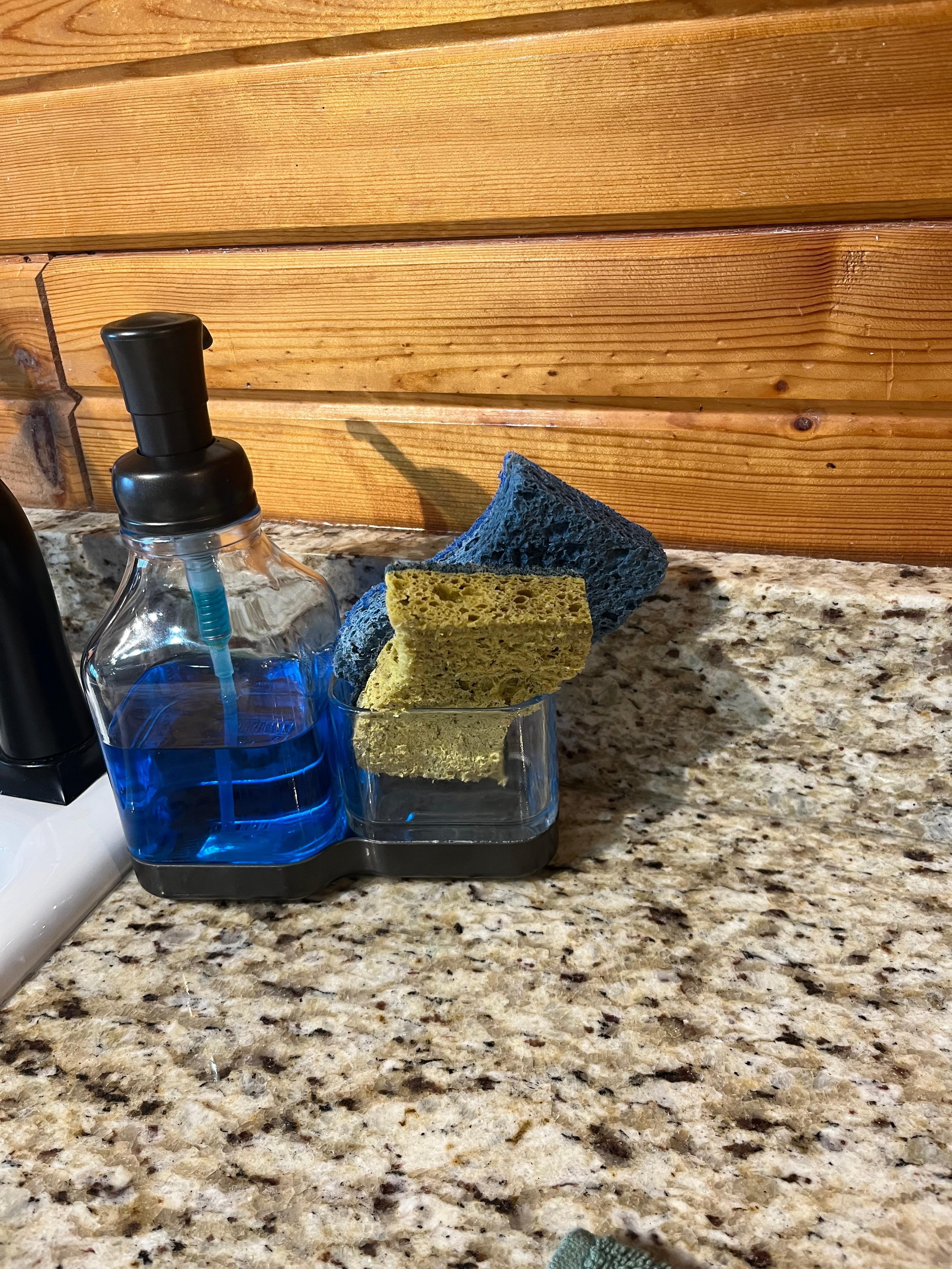 Kitchen sponge dirty