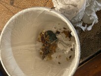 Cleaning up the mess before my shower and bedtime