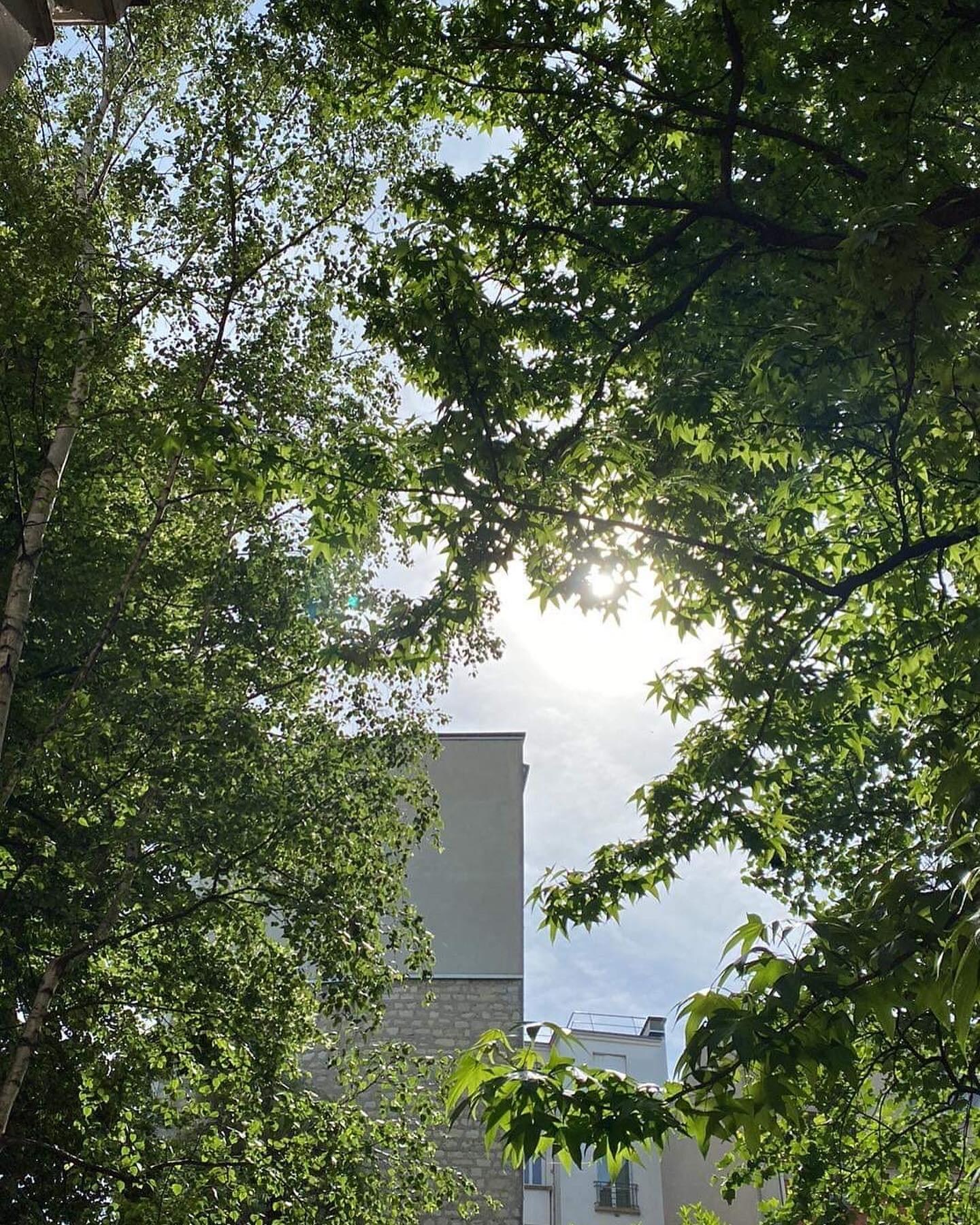 Billede fra gårdhaven