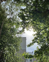 Billede fra gårdhaven