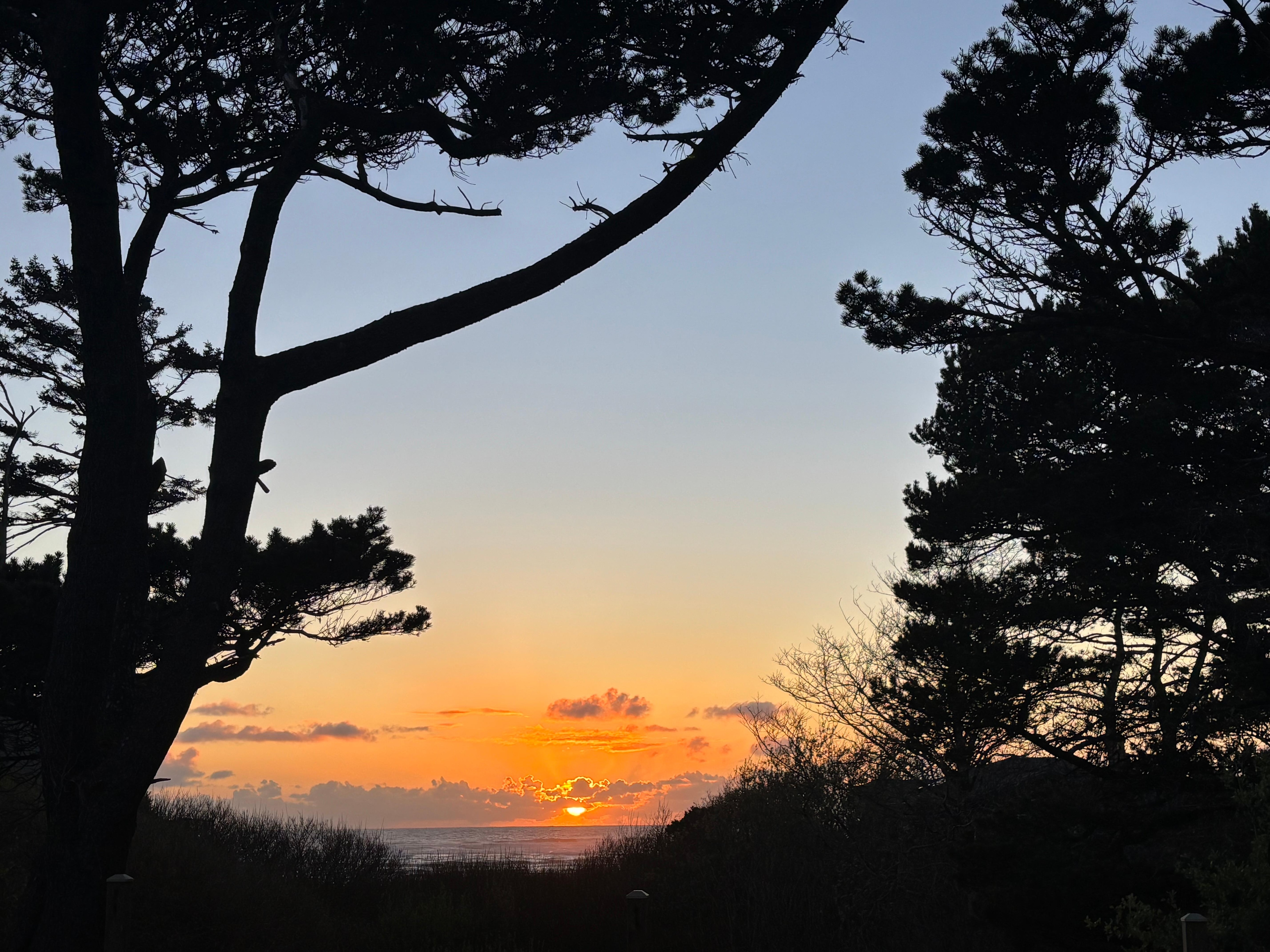 Sunset from the backyard!