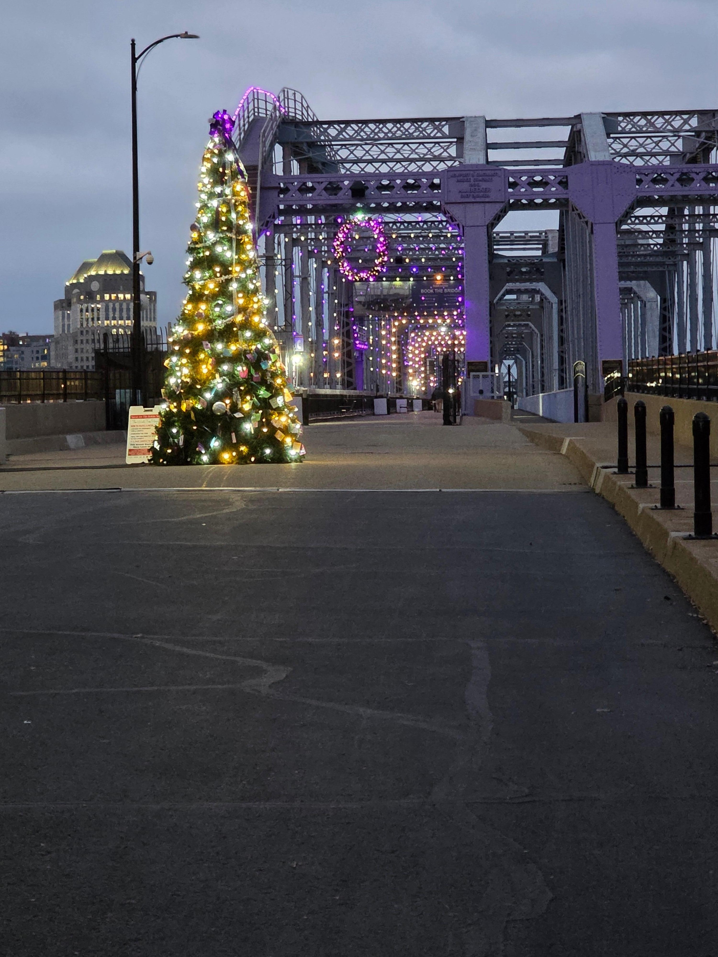 Purple People's Bridge