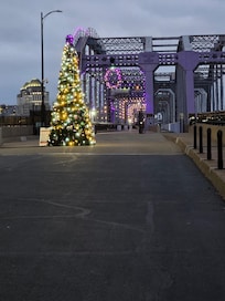Purple People's Bridge