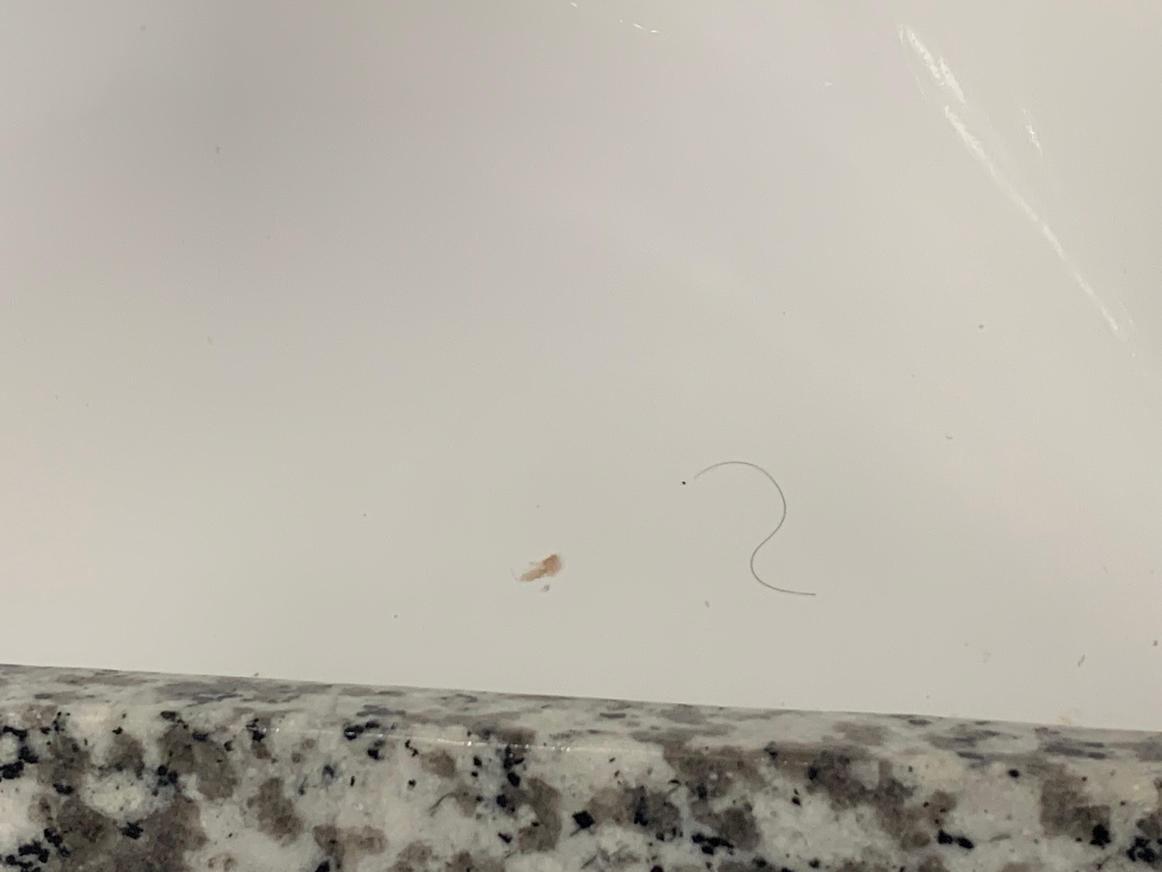 Hole in bathroom wall. 