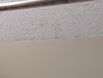 Mold all in the bathroom