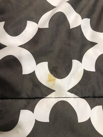 Splotch of “something” on one of the comforters
