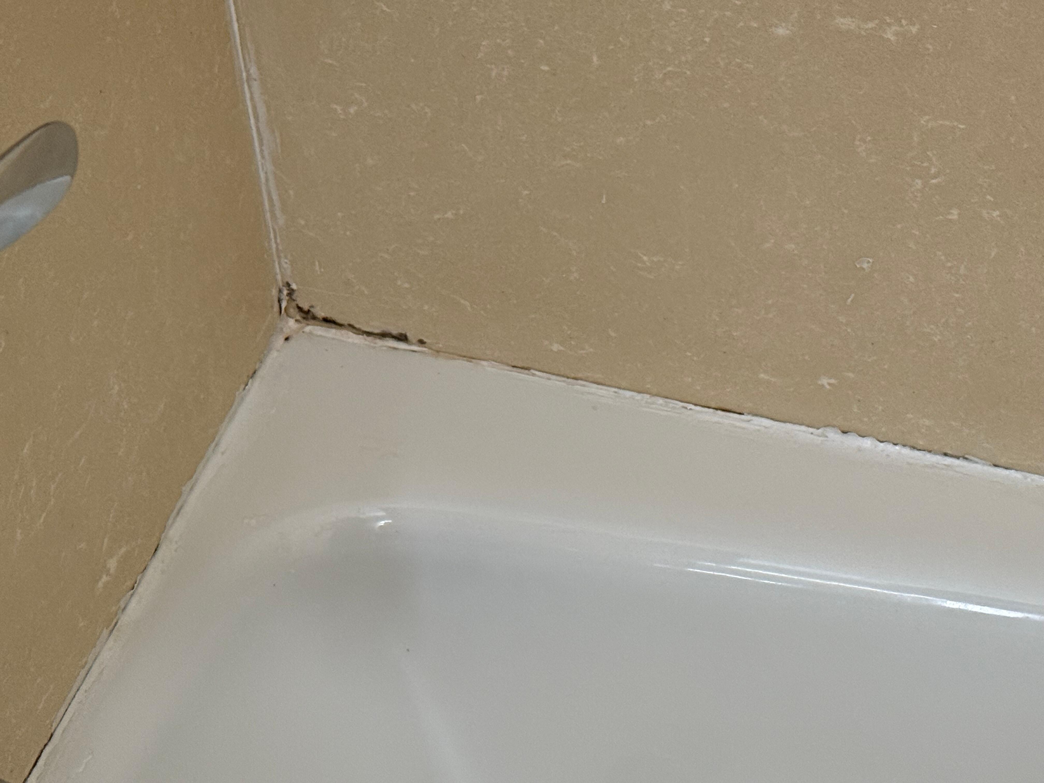 Bathing mold
