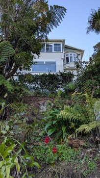 Looking up at the house from the sidewalk below