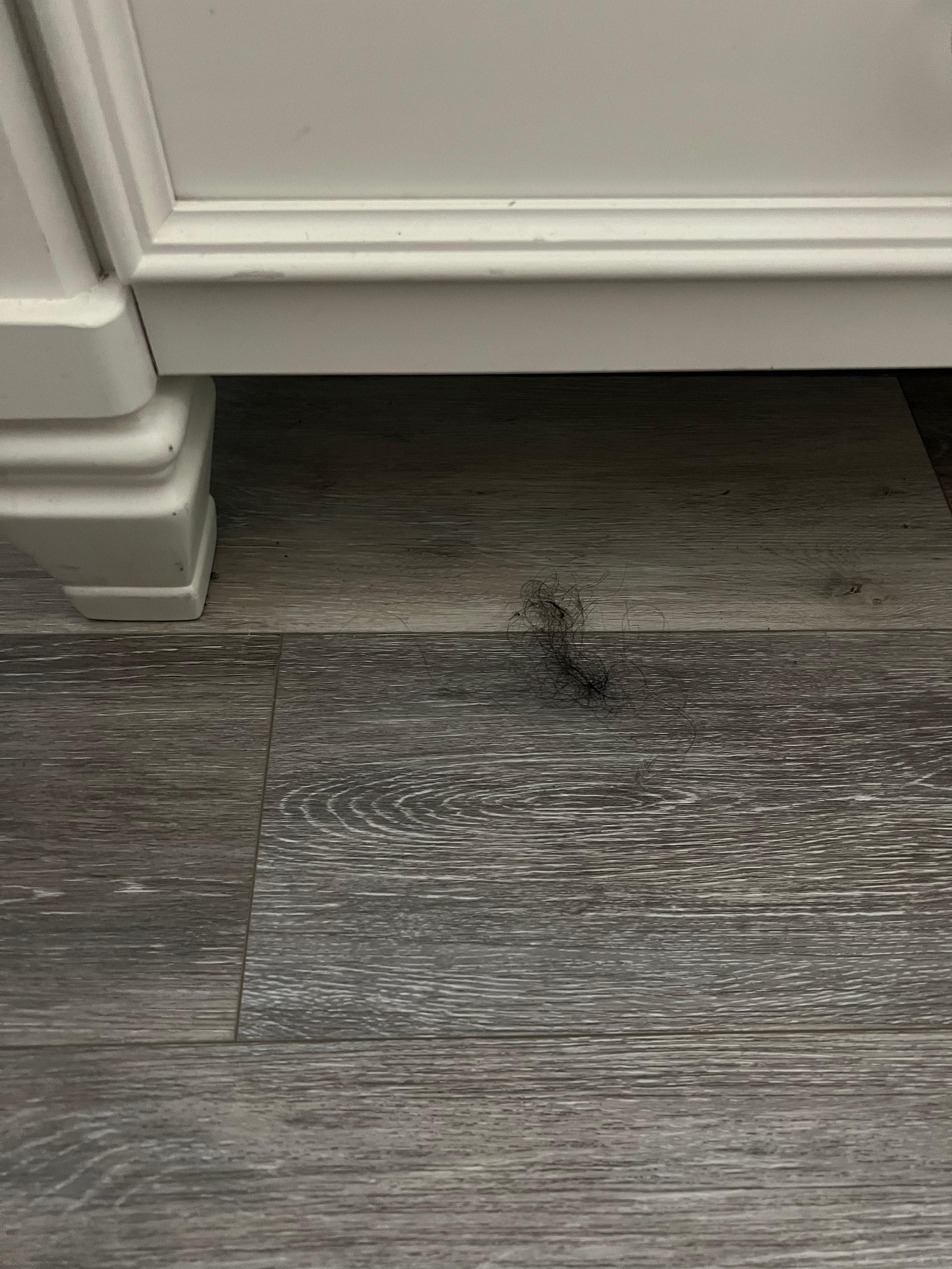 Balls of hair and filth throughout the home 