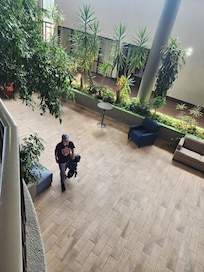 Part of the garden area, more tables on the other side