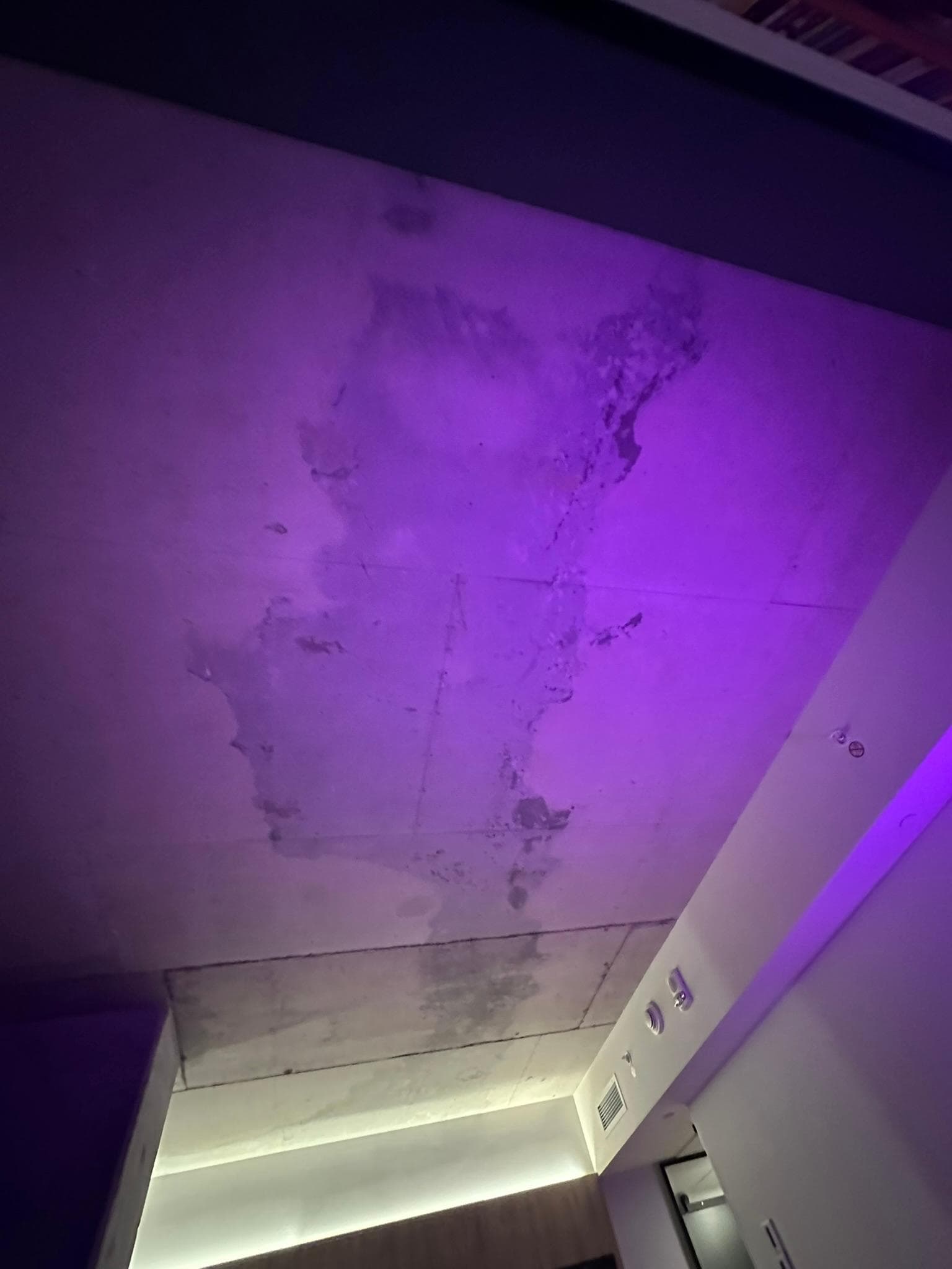 Le toit béton humide