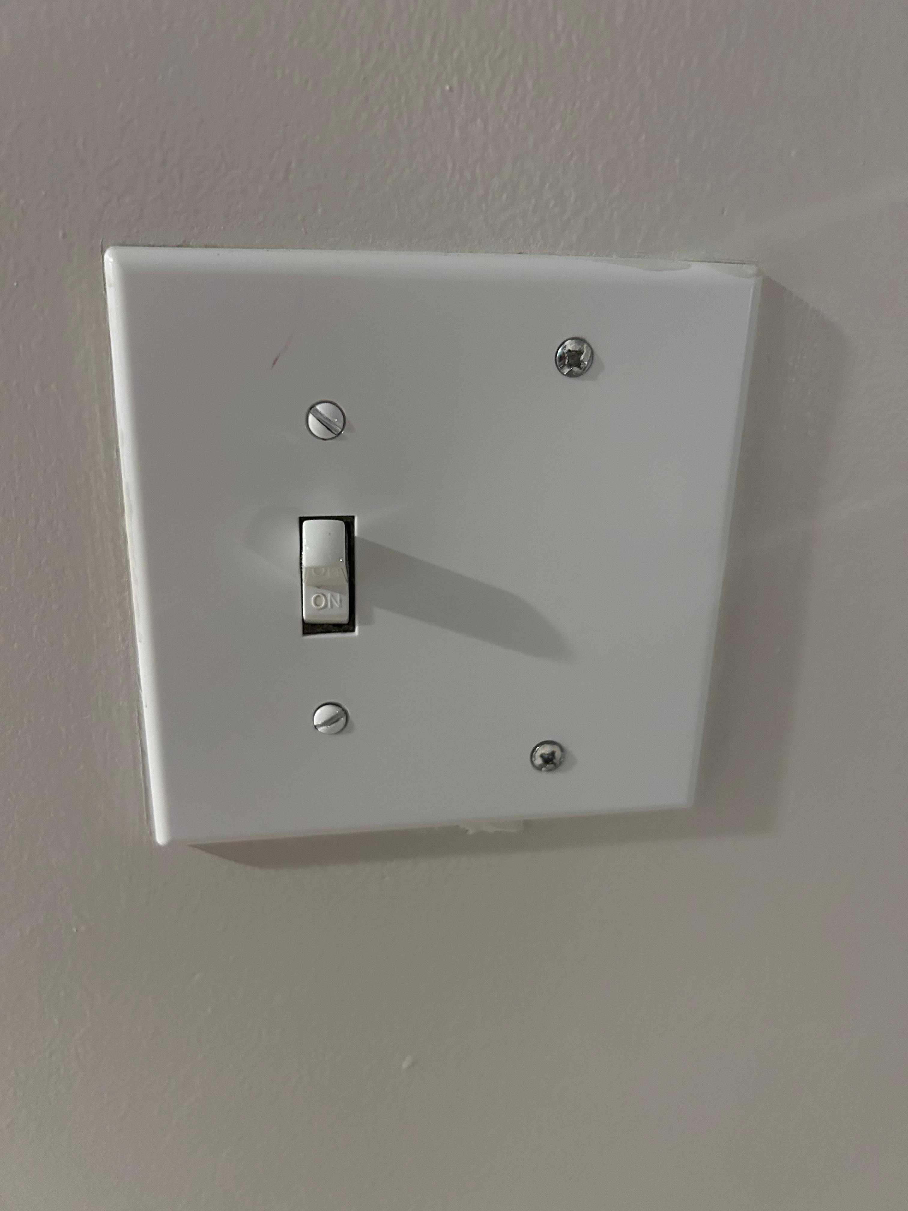 The light switch at the entry only lit the hallways. No other lighting in the front area. Very dark. 