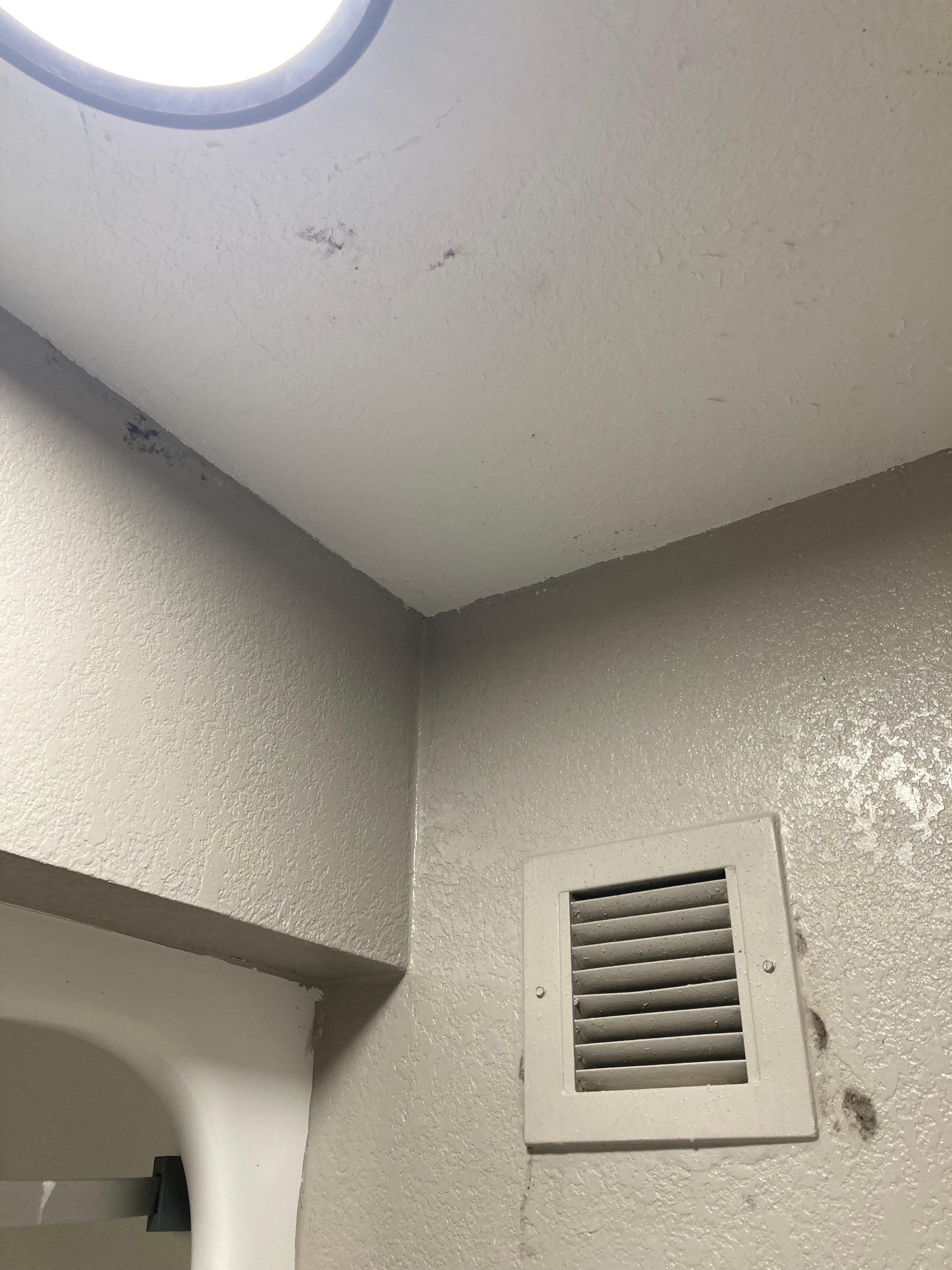 Black mold in the bathroom. 