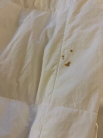 Dirty comforter