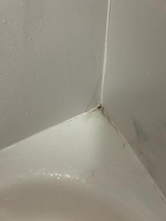Mold in Shower - Clear example they don't clean them 