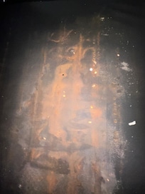 Habían cucarachas y chinches